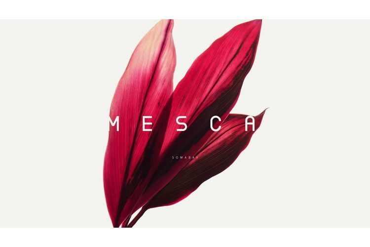 Mesca Soma Bay - by ASDC