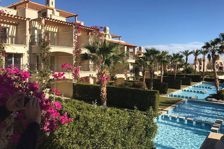 1 BR Apartment with Pool view-Veranda - 41