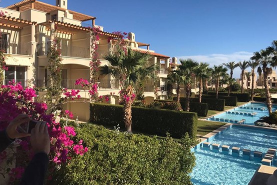 1 BR Apartment with Pool view-Veranda