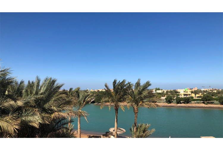 1BR Apartment-Pool&Lagoon view-West Golf - 7