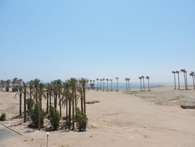 1 BR Apartment With Golf view - 131