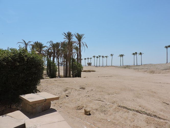1 BR Apartment with Garden and Bay view - 135