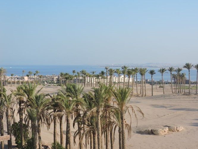 1 BR Penthouse with Golf view Azzurra - 130